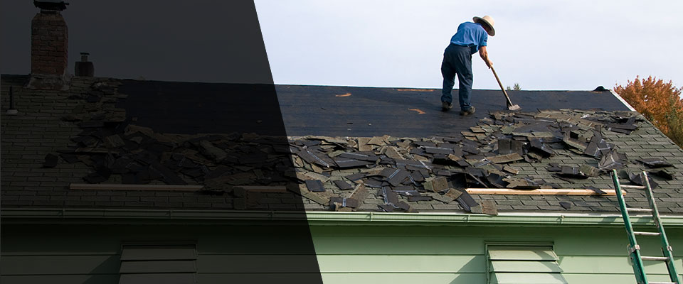 Knox Dale Roofing Contractors